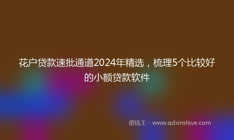 花户贷款速批通道2024年精选，梳理5个比较好的小额贷款软件