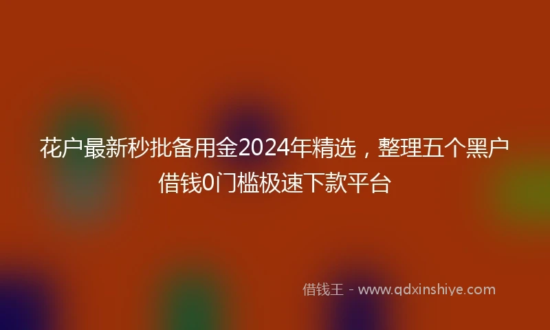 花户最新秒批备用金2024年精选，整理五个黑户借钱0门槛极速下款平台