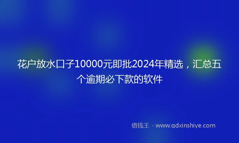 花户放水口子10000元即批2024年精选，汇总五个逾期必下款的软件