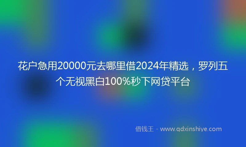 花户急用20000元去哪里借2024年精选，罗列五个无视黑白100%秒下网贷平台