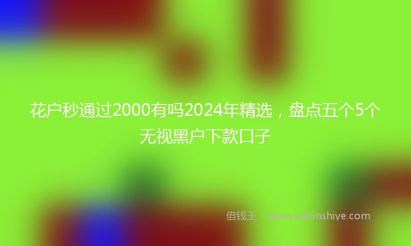 花户秒通过2000有吗2024年精选，盘点五个5个无视黑户下款口子
