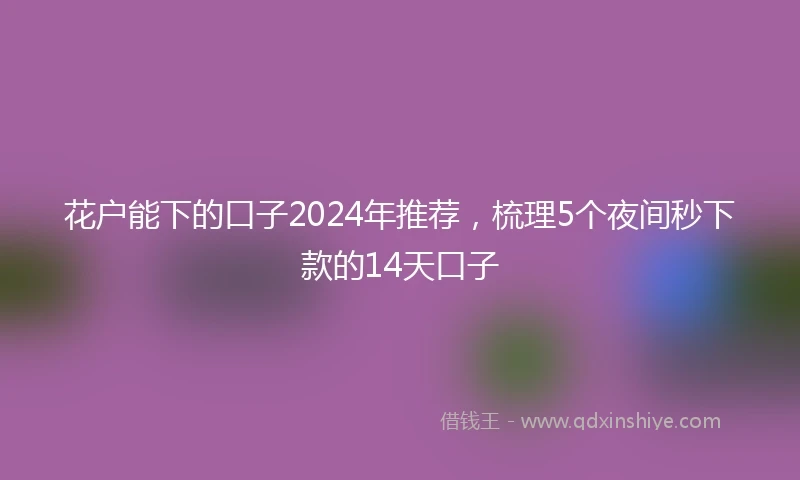 花户能下的口子2024年推荐，梳理5个夜间秒下款的14天口子
