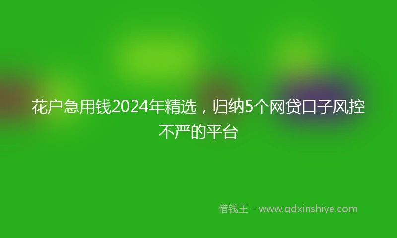 花户急用钱2024年精选,归纳5个网贷口子风控不严的平台