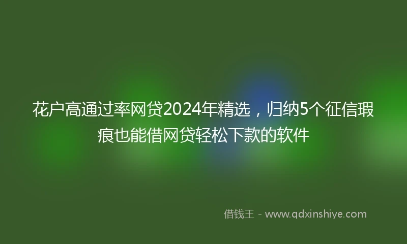 花户高通过率网贷2024年精选，归纳5个征信瑕疵也能借网贷轻松下款的软件
