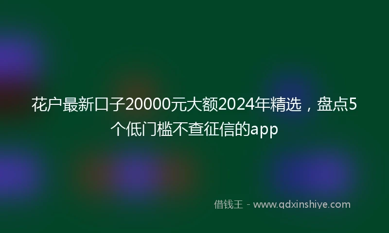花户最新口子20000元大额2024年精选，盘点5个低门槛不查征信的app