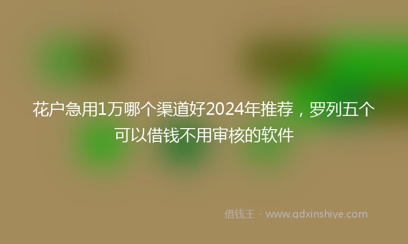 花户急用1万哪个渠道好2024年推荐，罗列五个可以借钱不用审核的软件