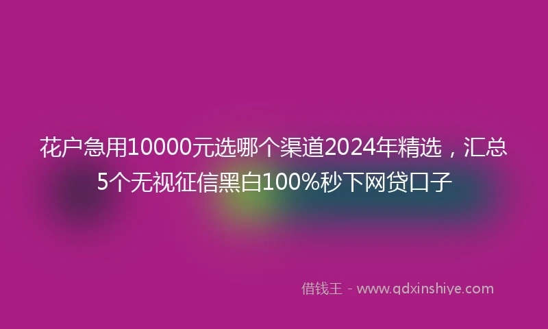 花户急用10000元选哪个渠道2024年精选，汇总5个无视征信黑白100%秒下网贷口子