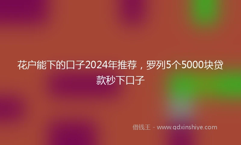 花户能下的口子2024年推荐，罗列5个5000块贷款秒下口子