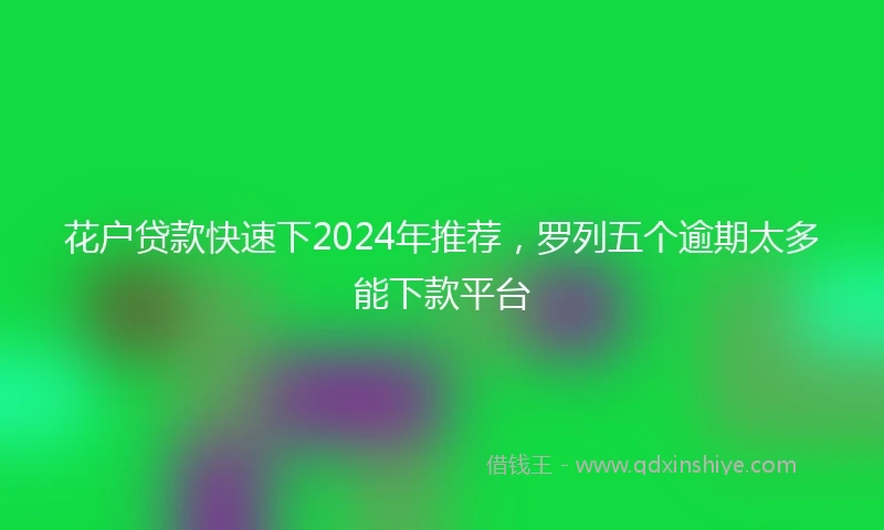 花户贷款快速下2024年推荐，罗列五个逾期太多能下款平台