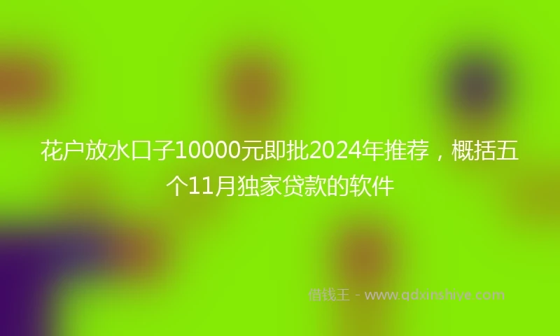 花户放水口子10000元即批2024年推荐，概括五个11月独家贷款的软件
