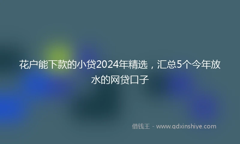 花户能下款的小贷2024年精选，汇总5个今年放水的网贷口子