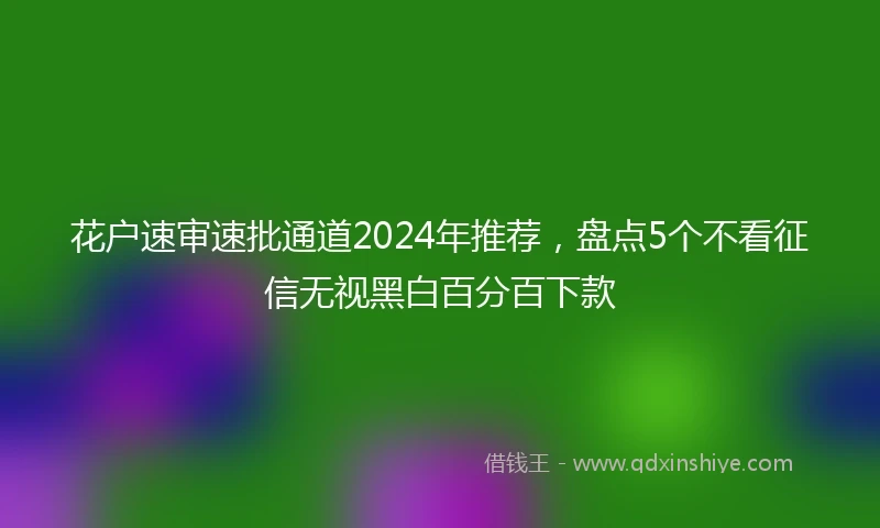花户速审速批通道2024年推荐，盘点5个不看征信无视黑白百分百下款