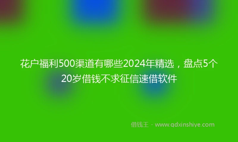 花户福利500渠道有哪些2024年精选，盘点5个20岁借钱不求征信速借软件