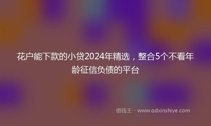 花户能下款的小贷2024年精选，整合5个不看年龄征信负债的平台