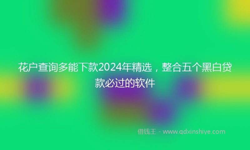 花户查询多能下款2024年精选，整合五个黑白贷款必过的软件