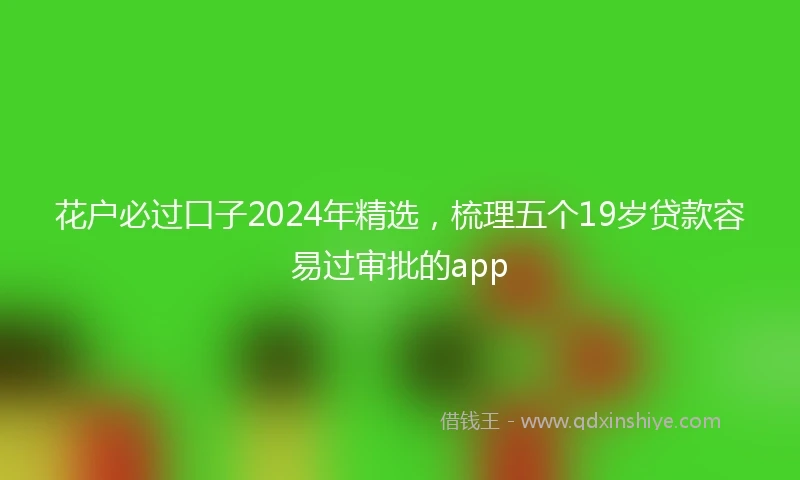 花户必过口子2024年精选，梳理五个19岁贷款容易过审批的app