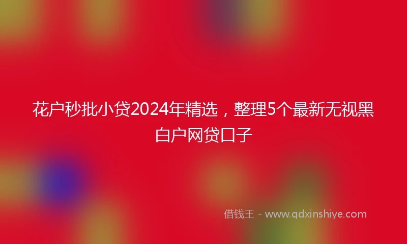 花户秒批小贷2024年精选，整理5个最新无视黑白户网贷口子