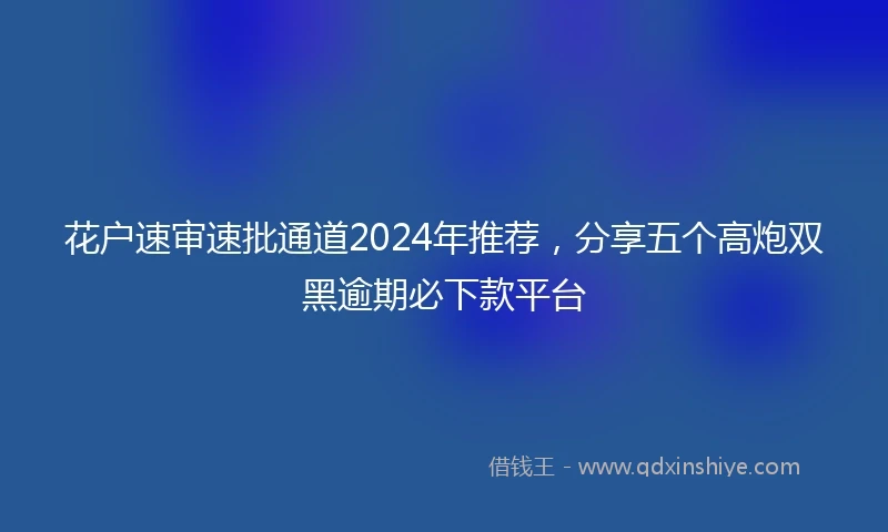 花户速审速批通道2024年推荐，分享五个高炮双黑逾期必下款平台