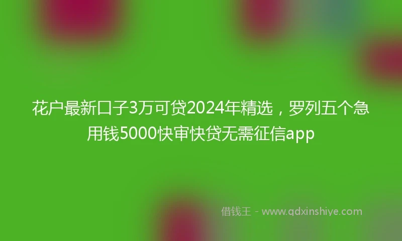花户最新口子3万可贷2024年精选，罗列五个急用钱5000快审快贷无需征信app