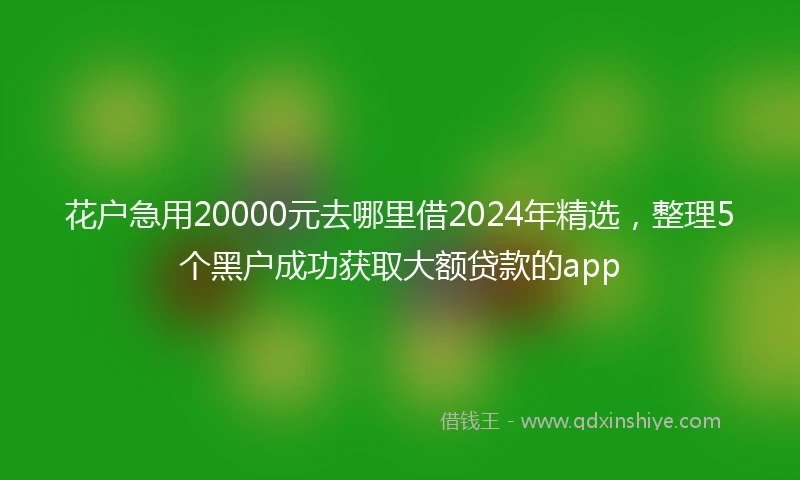 花户急用20000元去哪里借2024年精选，整理5个黑户成功获取大额贷款的app