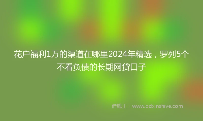花户福利1万的渠道在哪里2024年精选，罗列5个不看负债的长期网贷口子