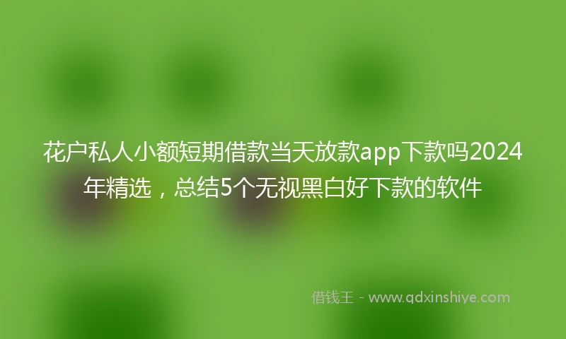 花户私人小额短期借款当天放款app下款吗2024年精选，总结5个无视黑白好下款的软件
