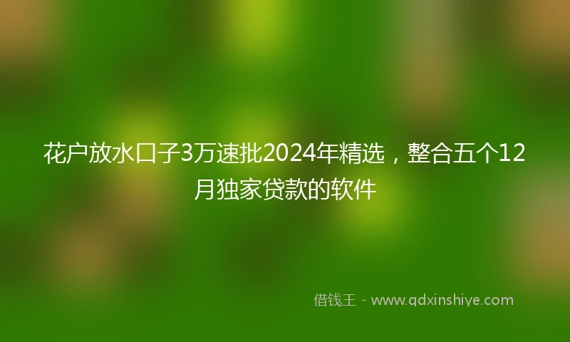 花户放水口子3万速批2024年精选，整合五个12月独家贷款的软件