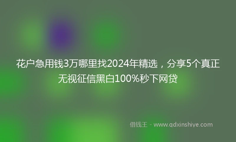 花户急用钱3万哪里找2024年精选，分享5个真正无视征信黑白100%秒下网贷