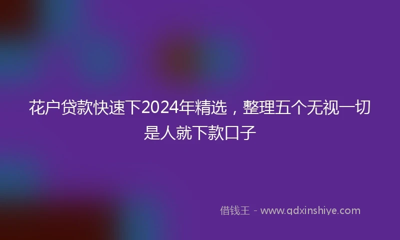花户贷款快速下2024年精选，整理五个无视一切是人就下款口子