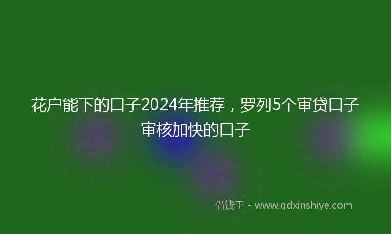 花户能下的口子2024年推荐，罗列5个审贷口子审核加快的口子