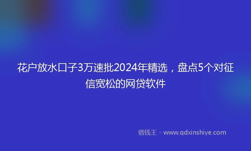 花户放水口子3万速批2024年精选，盘点5个对征信宽松的网贷软件