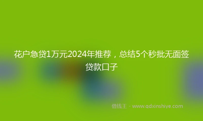 花户急贷1万元2024年推荐，总结5个秒批无面签贷款口子