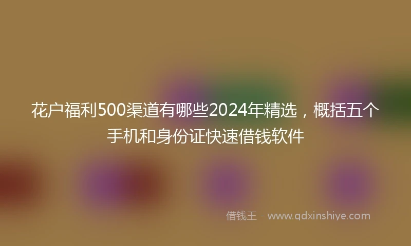 花户福利500渠道有哪些2024年精选，概括五个手机和身份证快速借钱软件