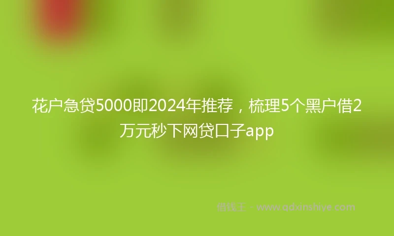 花户急贷5000即2024年推荐，梳理5个黑户借2万元秒下网贷口子app