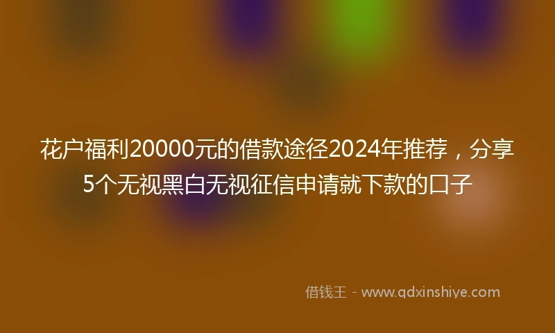 花户福利20000元的借款途径2024年推荐，分享5个无视黑白无视征信申请就下款的口子
