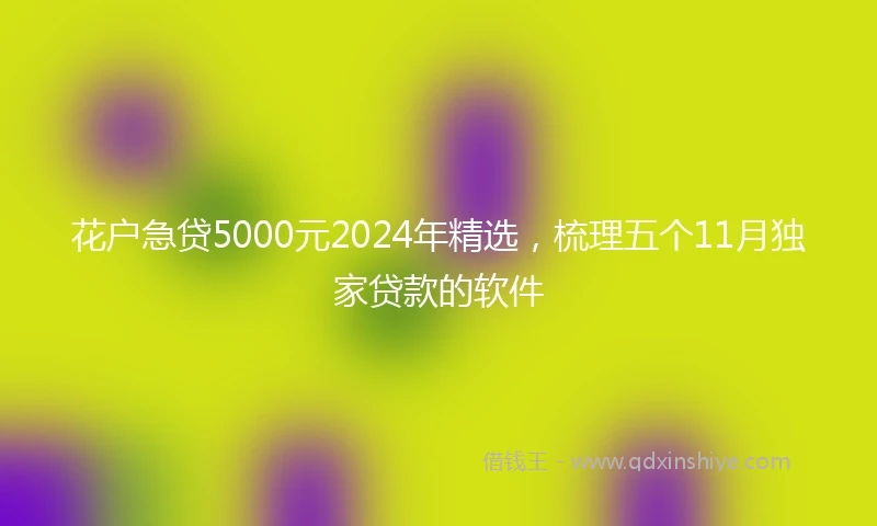 花户急贷5000元2024年精选，梳理五个11月独家贷款的软件