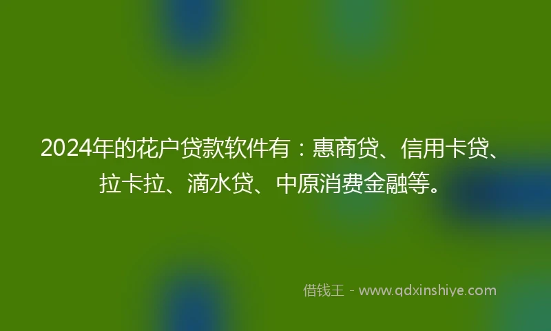 2024年的花户贷款软件有：惠商贷、信用卡贷、拉卡拉、滴水贷、中原消费金融等。