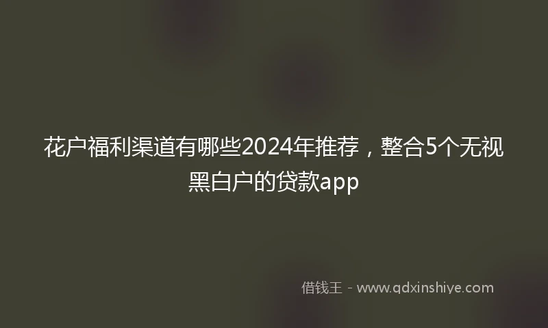 花户福利渠道有哪些2024年推荐，整合5个无视黑白户的贷款app