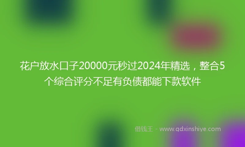 花户放水口子20000元秒过2024年精选，整合5个综合评分不足有负债都能下款软件