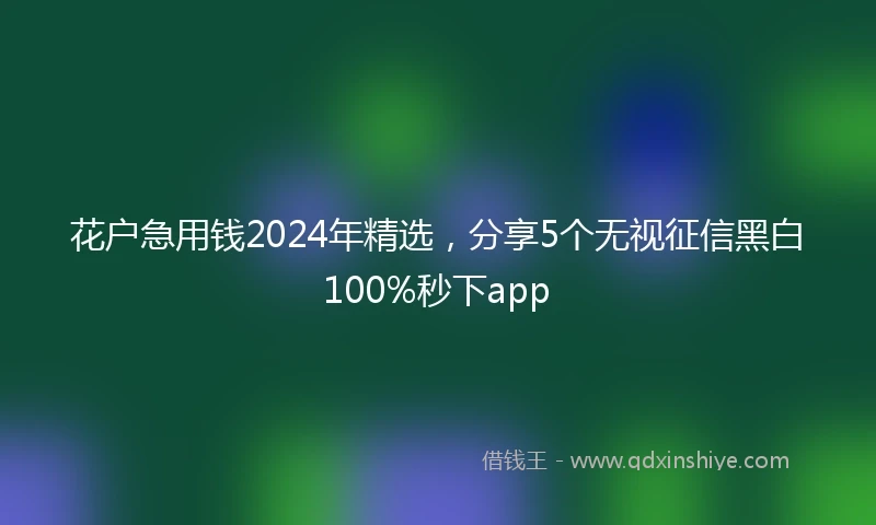 花户急用钱2024年精选，分享5个无视征信黑白100%秒下app