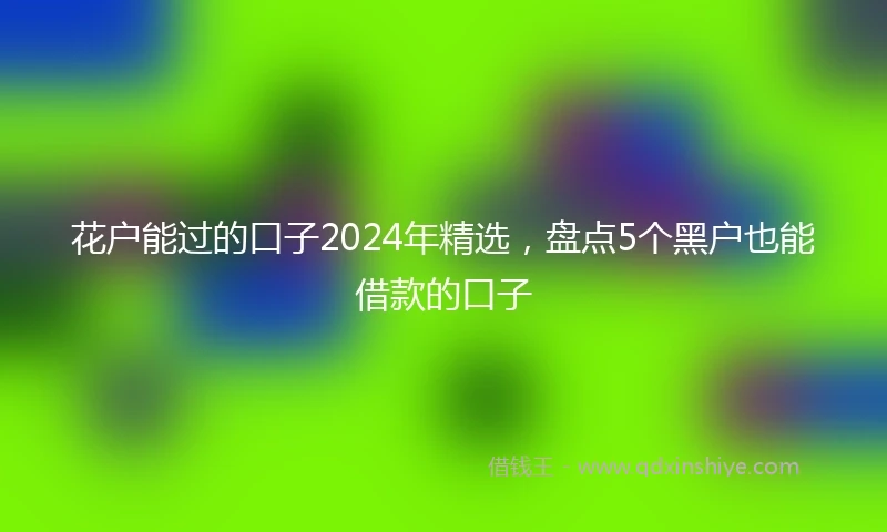花户能过的口子2024年精选，盘点5个黑户也能借款的口子