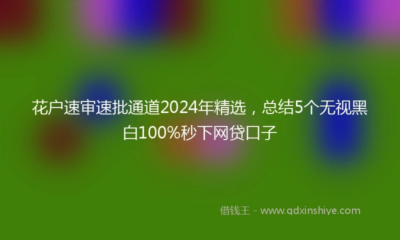 花户速审速批通道2024年精选，总结5个无视黑白100%秒下网贷口子