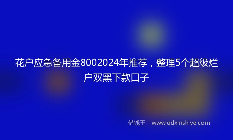 花户应急备用金8002024年推荐，整理5个超级烂户双黑下款口子
