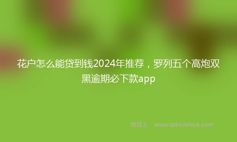 花户怎么能贷到钱2024年推荐，罗列五个高炮双黑逾期必下款app