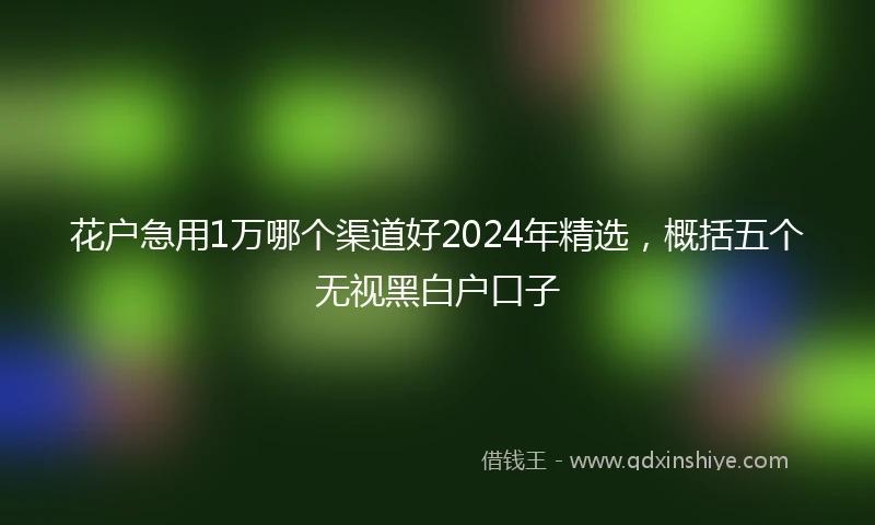 花户急用1万哪个渠道好2024年精选，概括五个无视黑白户口子