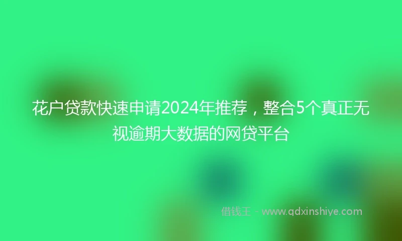 花户贷款快速申请2024年推荐，整合5个真正无视逾期大数据的网贷平台