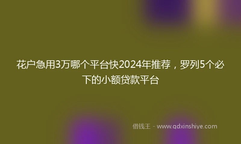 花户急用3万哪个平台快2024年推荐,罗列5个必下的小额贷款平台