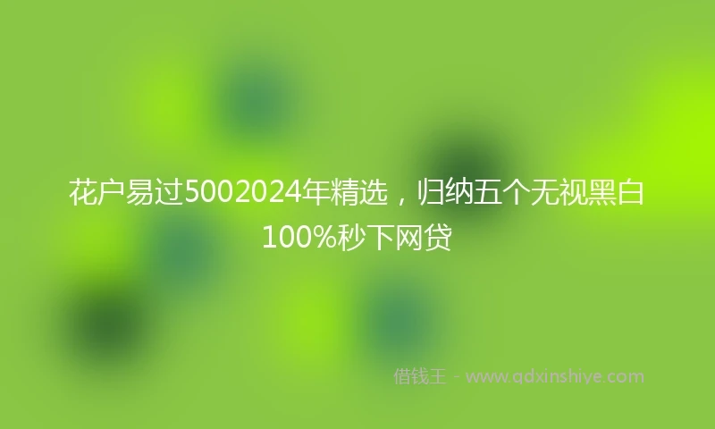 花户易过5002024年精选，归纳五个无视黑白100%秒下网贷