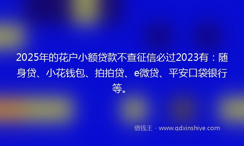 2025年的花户小额贷款不查征信必过2023有：随身贷、小花钱包、拍拍贷、e微贷、平安口袋银行等。
