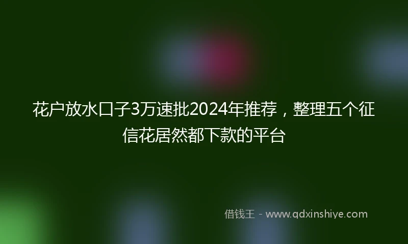 花户放水口子3万速批2024年推荐，整理五个征信花居然都下款的平台